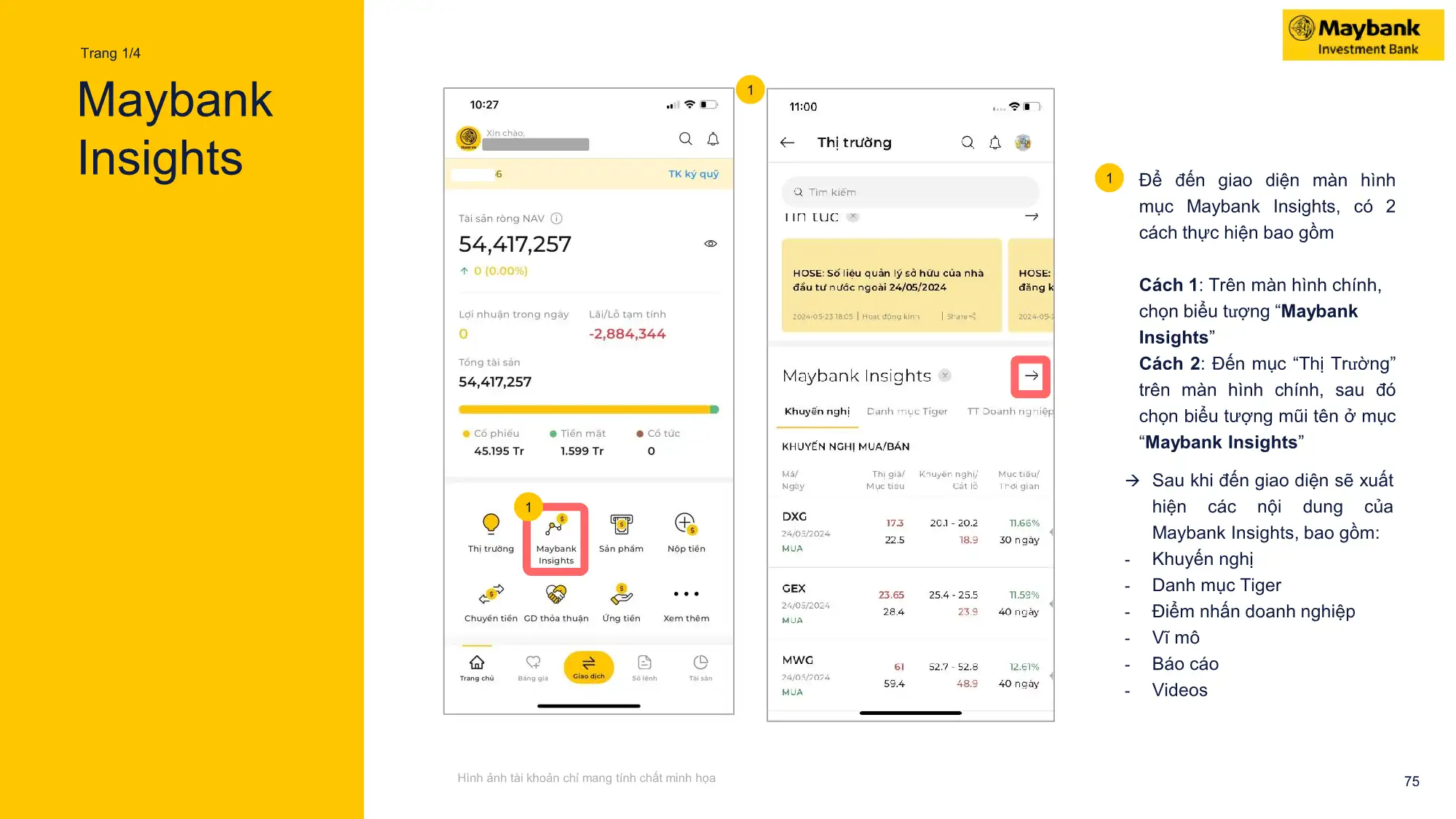 Maybank Insight