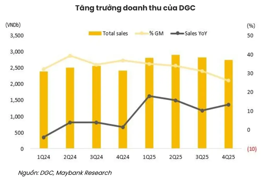 Tăng trưởng doanh thu của DGC giai đoạn 2024 - 2025