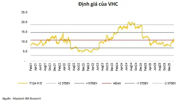 Định giá cổ phiếu VHC