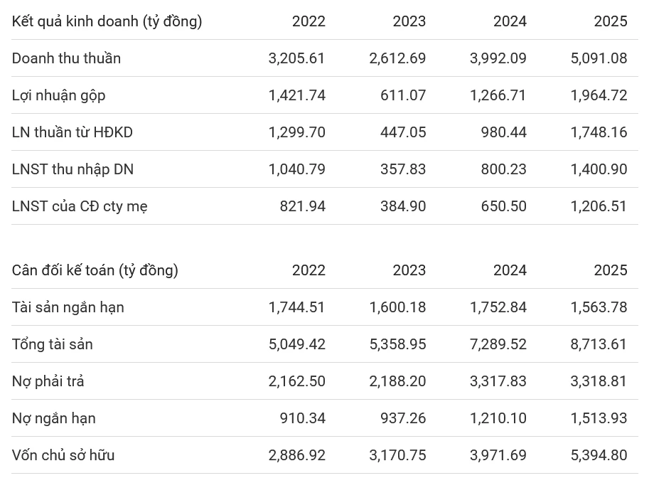 Kết quả kinh doanh HAH (Vietstock)