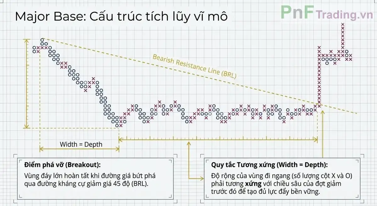 Major Base - Cấu trúc đáy mạnh nhất