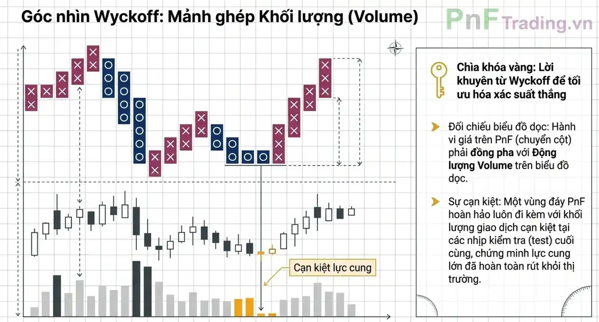 Kết hợp Wyckoff và Volume để tăng độ tin cậy